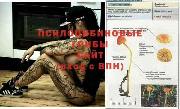 МДПВ Михайлов