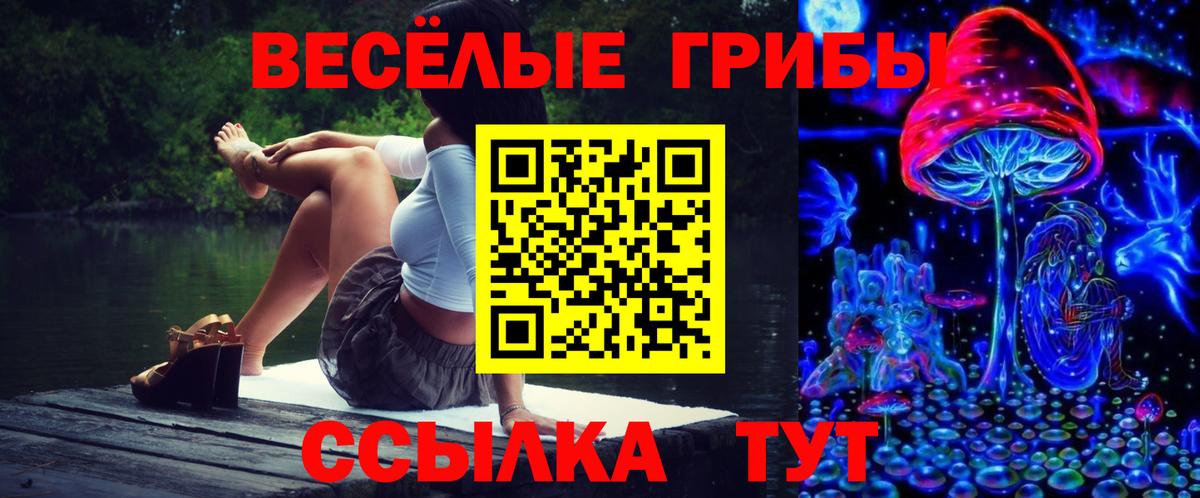 Псилоцибиновые грибы мицелий  Псилоцибиновые грибы MAGIC MUSHROOMS  Вход с VPN  Пятигорск 