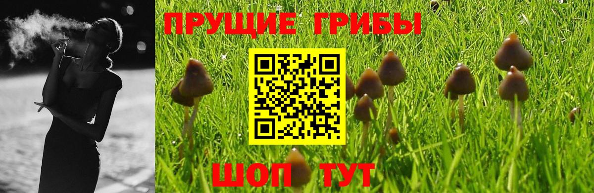 Галлюциногенные грибы Magic Shrooms Пятигорск